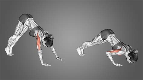 To make the excercise harder you need to have a good form of the excercise. Go in the pike position, when you do the pushup you go over and ahead of your elbows, they should be pointing backwards and they usually stay vertical while you do the movement. If you already have good form it's all good.